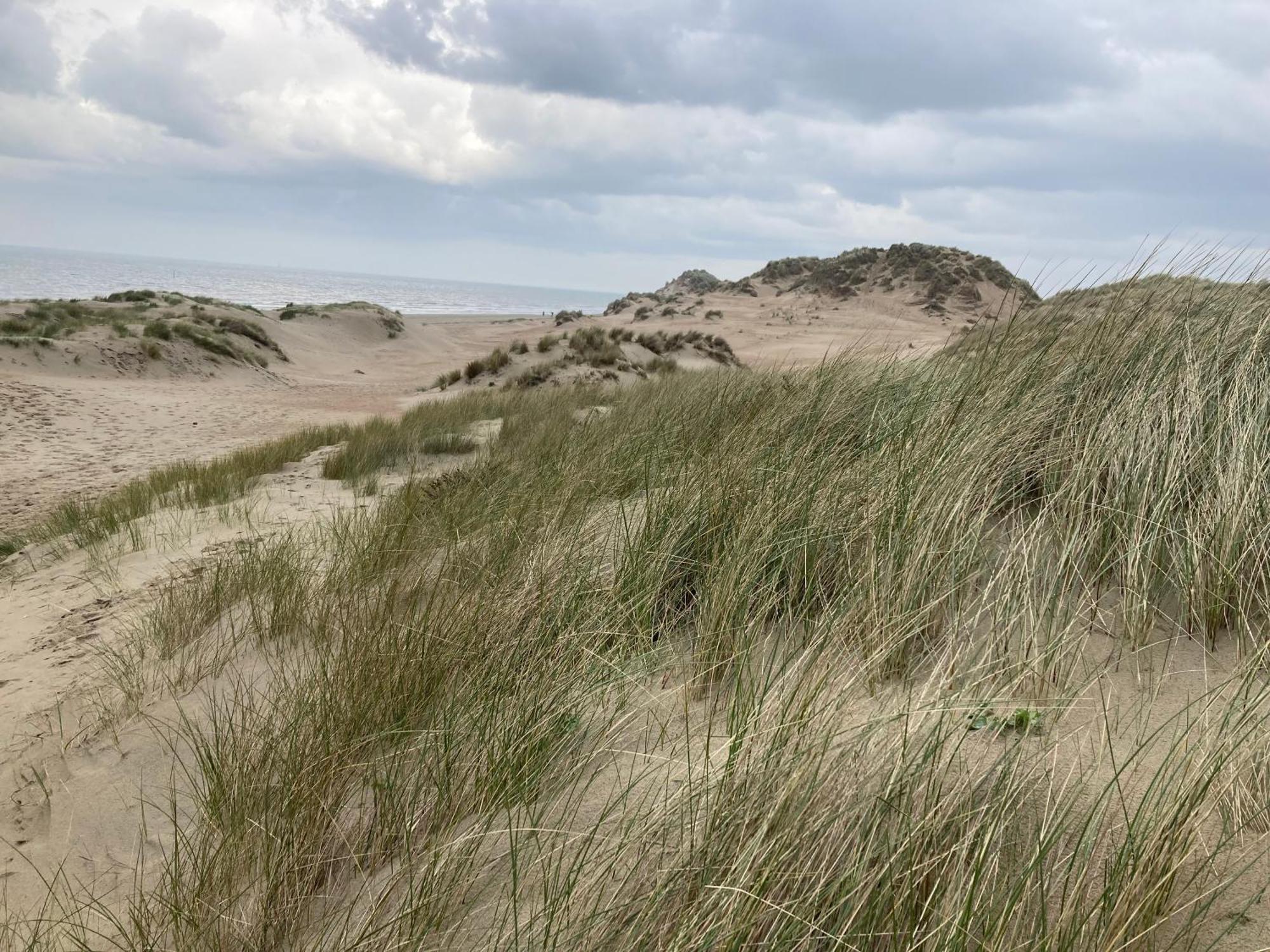 Terduinen Villa Oostduinkerke Kültér fotó